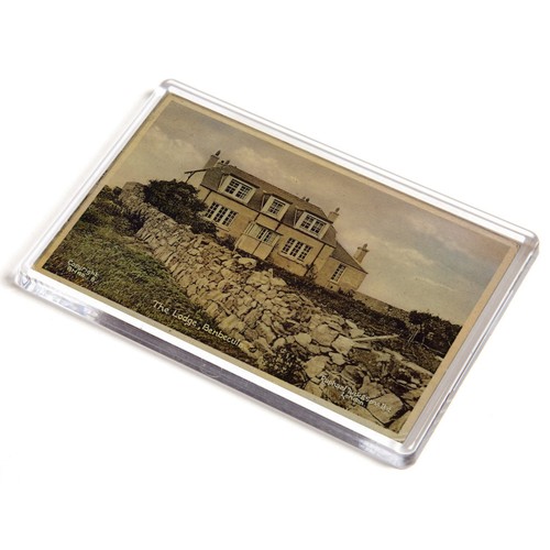 Jumbo magnet vintage - magnet,