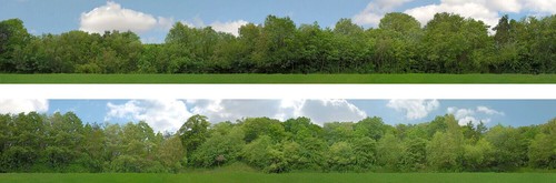 Just trees gauge - trees,