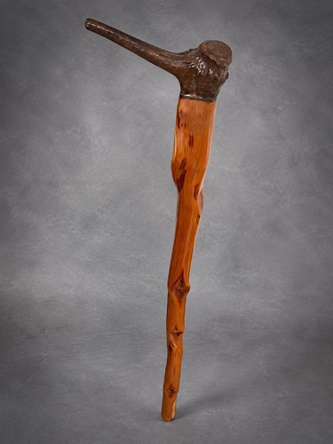 Handmade rustic walking cane - walking,