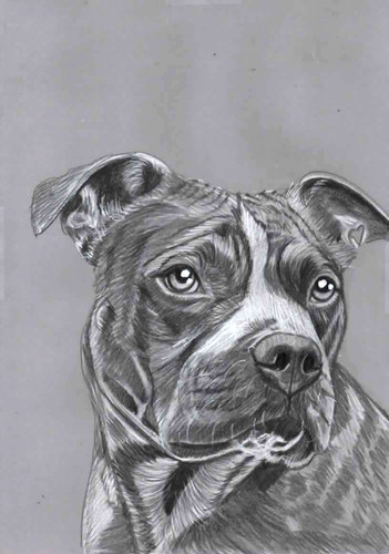Original pencil artwork - original, b&w