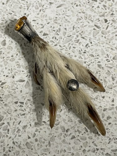 Vintage scottish grouse foot - scottish,