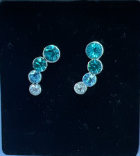 Pierced Earrings from