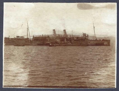 Mantua picking survivors - up,