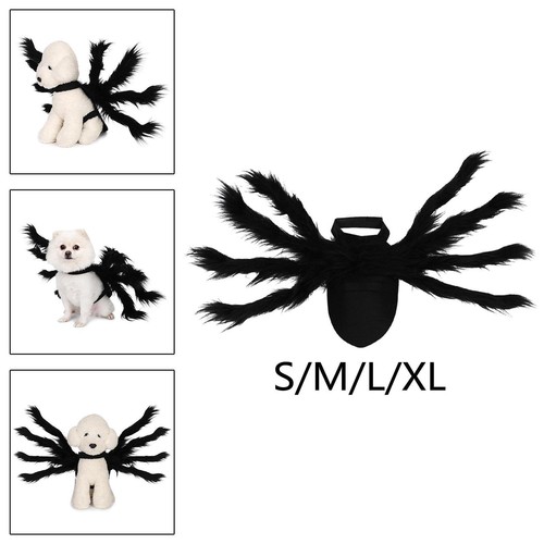 Spider dog costume - dog,