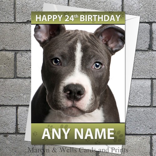 Staffordshire bull terrier - staffordshire,