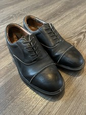 Steel Toe Cap Brogues 7/41