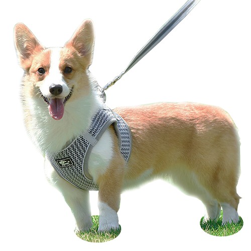 Dog harness non - dog, soft