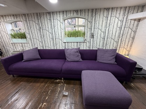 Large deep purple - large,