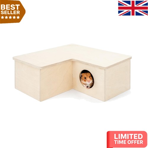 Hamster house maze with - maze,