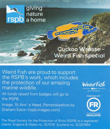 Rspb pin badge - pin,