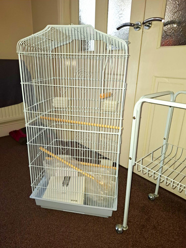 White tall wire bird cage - bird,