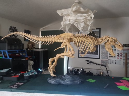Rex dinosaur skeleton - t-rex,