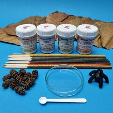 Shrimp Starter Set (Shrimp Lollies Food Sticks Glass Bowl Alder Cones)