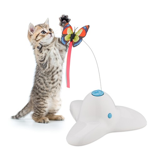 Cat toy feline activity - feline,