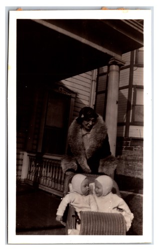 1931 twin babies - babies, with