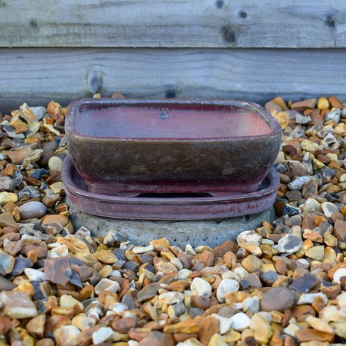 Bonsai pot and tray - pot,
