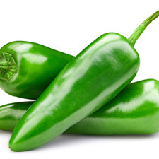 Chilli Plants - 'Apache' - 1 x Full Plant in 9cm Pot