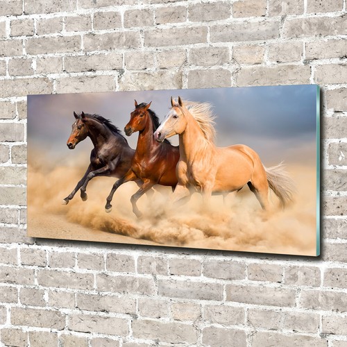 Glass picture wall art print