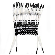 Native American Headdress