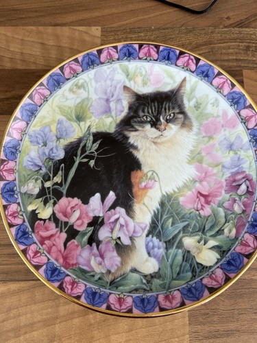 Cats among the - among,
