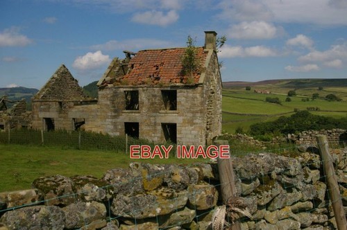 Photo stork house - , farm