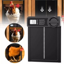 Automatic Chicken Coop Chicken