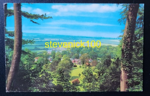 Postcard used selborne from - used,