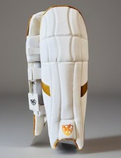 GSG 2025 - Cricket Batting