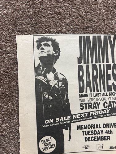 Jimmy barnes stray - stray, cats