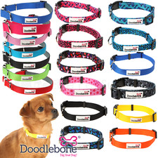 Doodlebone Collar Dog Puppy