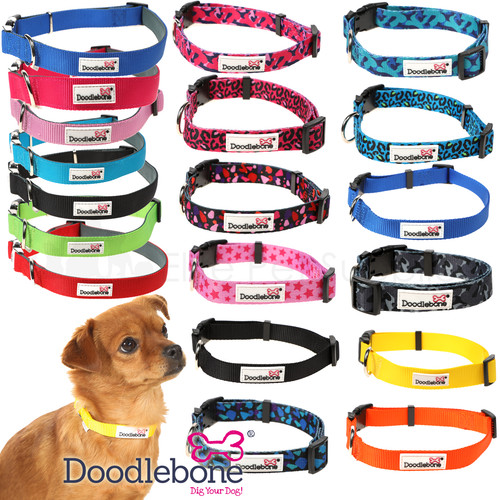 Doodlebone collar dog puppy - collar,