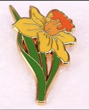Beautiful yellow daffodil - beautiful,