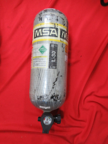 Mfg 2009 msa - min, carbon