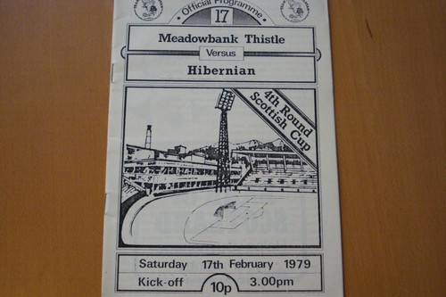 Meadowbank thistle hibernian - meadowbank,