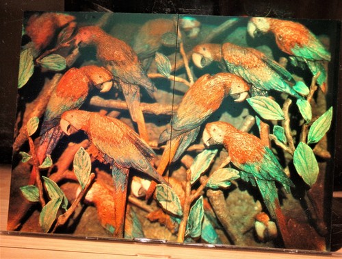 Full color film - full,