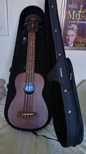 Kala Fretless UBASSFL Electro