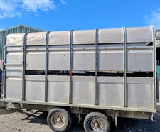 Ifor Williams Stock trailer