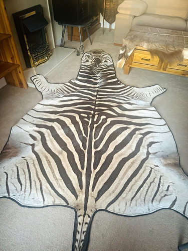 Genuine zebra skin beize - zebra,