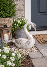 Decorative Swan Garden