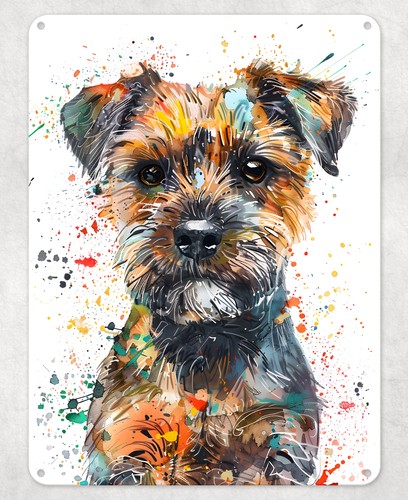 Border terrier pet dog - border,