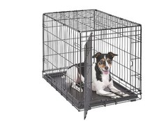New World Folding Metal Dog
