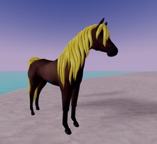 Wild Horse Islands  🌸 ND