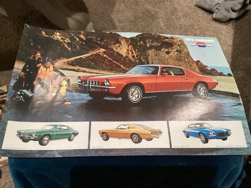 1973 chevrolet camaro - 1973,