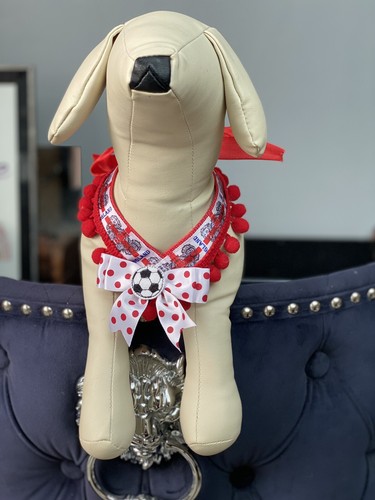 England football fancy dog - football,
