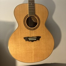 Washburn J12SN Acoustic Guitar