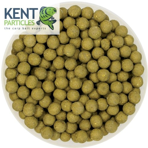 Scopex squid flavoured boilies - scopex,