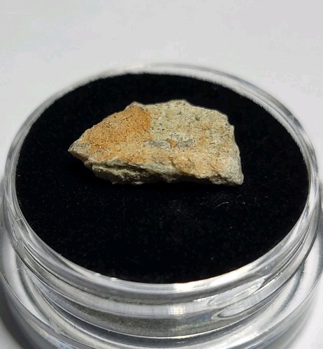 Hadrosaur egg shell - hadrosaur, genuine