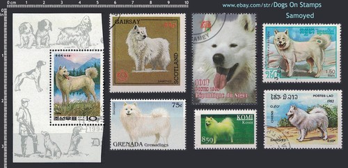 Samo frame dog breed - frame,
