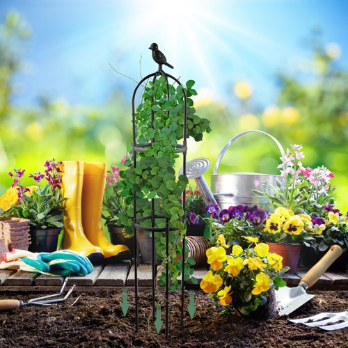 Set plant vine climbing rack - set,