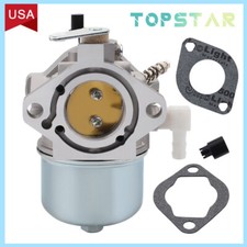 Carburetor Fits Briggs &